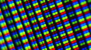 Sẽ c&oacute; smarphone m&agrave;n h&igrave;nh si&ecirc;u n&eacute;t v&agrave;o năm sau