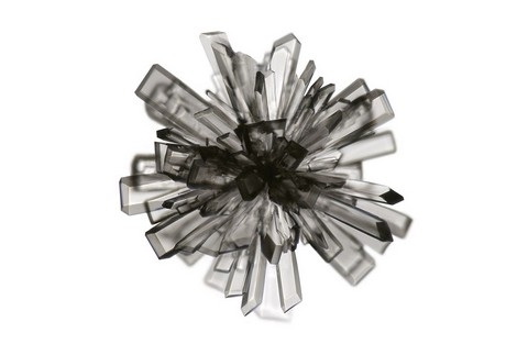 h&igrave;nh ảnh, Nikon, small world 2013, cuộc thi, h&igrave;nh ảnh, ph&oacute;ng đại