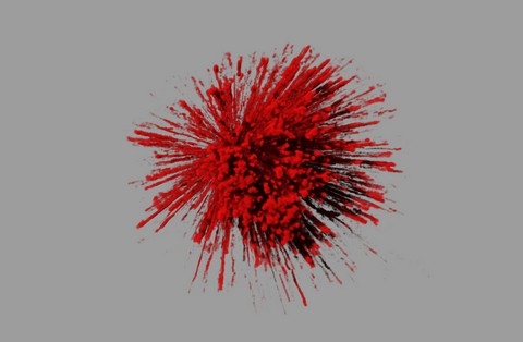 h&igrave;nh ảnh, Nikon, small world 2013, cuộc thi, h&igrave;nh ảnh, ph&oacute;ng đại