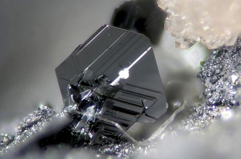 h&igrave;nh ảnh, Nikon, small world 2013, cuộc thi, h&igrave;nh ảnh, ph&oacute;ng đại