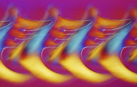 h&igrave;nh ảnh, Nikon, small world 2013, cuộc thi, h&igrave;nh ảnh, ph&oacute;ng đại