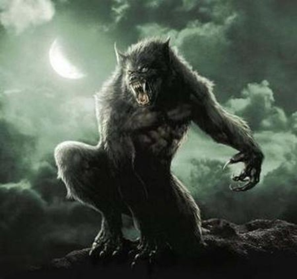 Khám phá người sói: Sợ hãi và thèm muốn