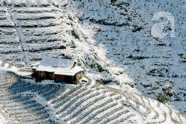 Những hình ảnh tuyết trắng đẹp lạ thường ở Sa Pa 3