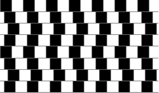  Thoạt nhìn, người ta nghĩ những đường thẳng này không song song, đó chính là do tác động đầu tiên vào thị giác đã đánh lừa nhận thức (Ảnh internet).