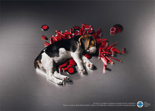  Động vật vô tội đang bị giết hại bởi những thí nghiệm cho ngành mỹ phẩm làm đẹp