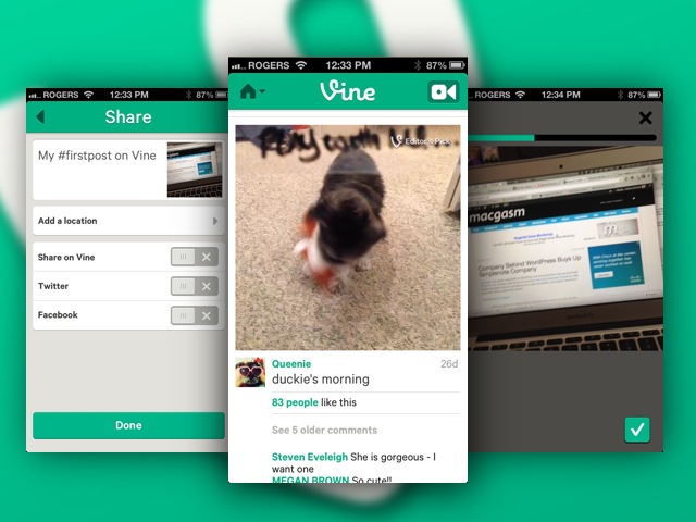 http://www.macgasm.net/wp-content/uploads/2013/01/vine-iphone.jpg