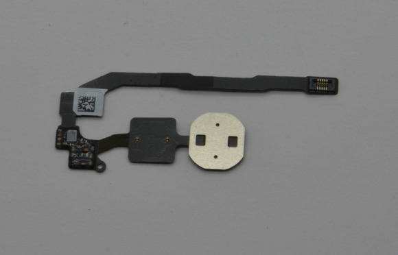 Chuy&ecirc;n gia sinh trắc học x&aacute;c nhận cảm biến v&acirc;n tay tr&ecirc;n iPhone 5S l&agrave; sự thật