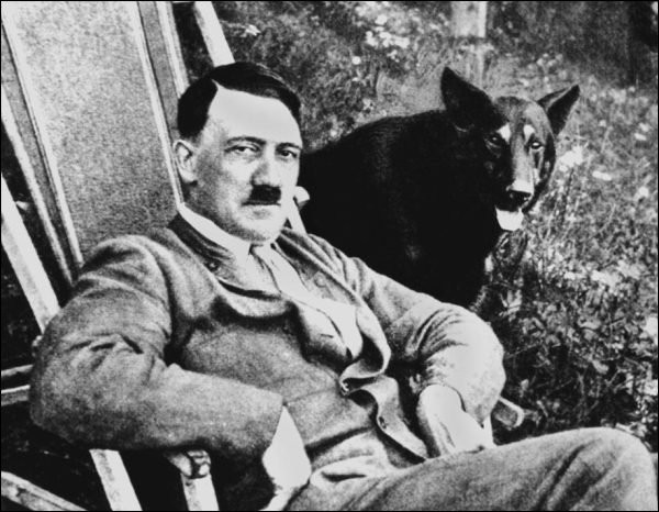 Điều ít được biết về đội quân chó biết nói của Hitler