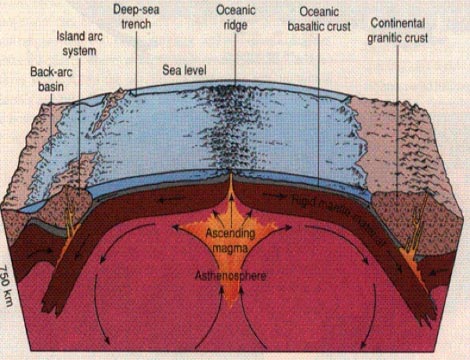 , Tin tức trong ngày, bi an khoa hoc, nha khoa hoc, van toc anh sanh, ca chet hang loat, hien tuong bi an, ao giac mat trang, bao, tin tuc, tin hot, tin hay, vn
