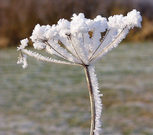 6 hiện tượng thiên nhiên tuyệt đẹp chỉ có vào mùa đông 3
