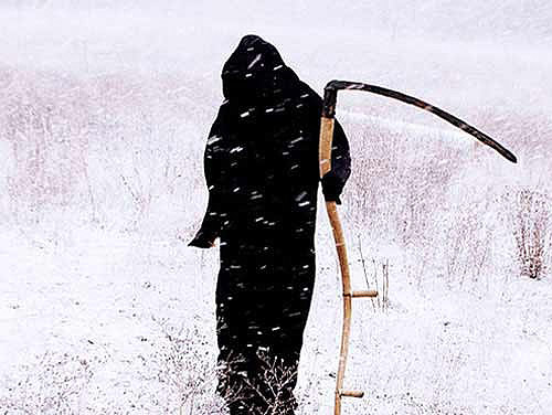 lo&agrave;i người, h&agrave;nh tinh, lo&agrave;i linh trưởng, c&aacute;i chết, nghi&ecirc;n cứu, tế b&agrave;o gốc