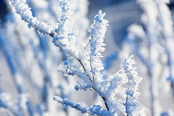 6 hiện tượng thiên nhiên tuyệt đẹp chỉ có vào mùa đông 4
