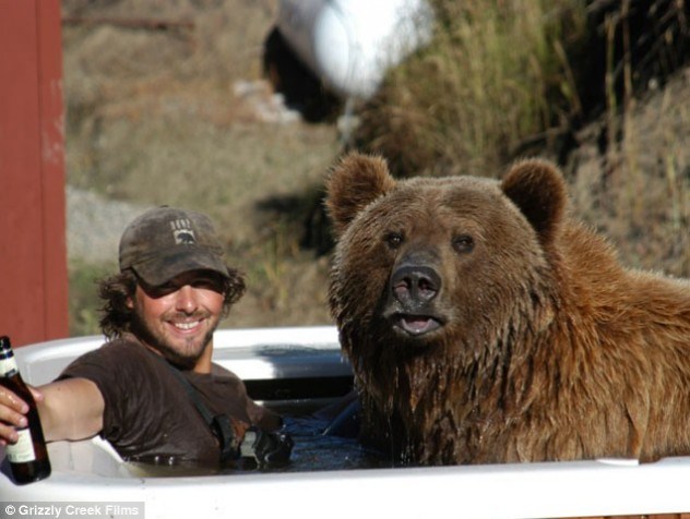 Những sự thật thú vị về loài gấu ít người biết đến