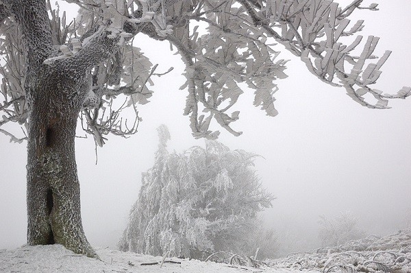 6 hiện tượng thiên nhiên tuyệt đẹp chỉ có vào mùa đông 9