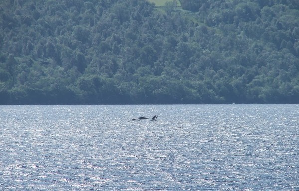  Đi tìm tung tích thật của quái vật hồ Loch Ness 