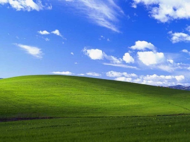 Bức hình nền Bliss biểu tượng trên Windows XP.