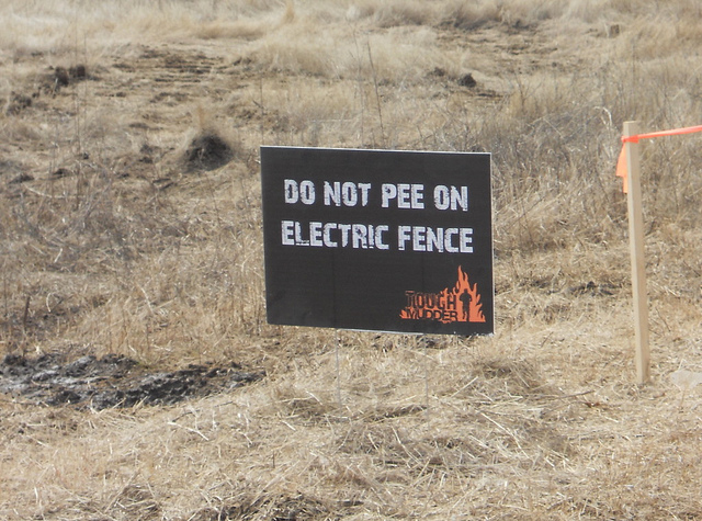 Tốt nhất các bạn đừng nên xả vào hàng rào điện.