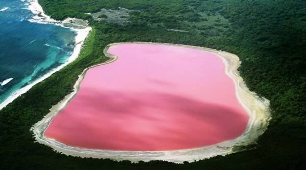 Hồ Hillier nằm ở Middle Island, hòn đảo lớn và nổi tiếng nhất phía tây Australia. Sắc hồng rực rỡ là đặc trưng độc đáo nhất của nó. Nước không gây hại cho người và không đổi màu khi con người mang nó ra khỏi hồ. Các nhà khoa học vẫn chưa thể lý giải được tại sao nước trong hồ có màu hồng.
