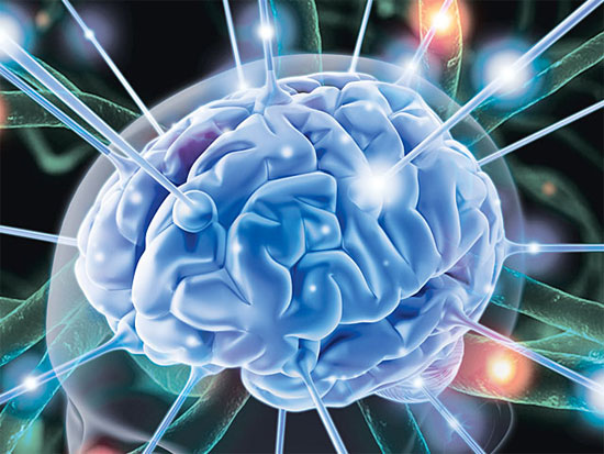 Các nhà khoa học có thể đọc được trí não con người