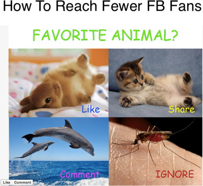Facebook sẽ "thẳng tay" xóa sổ các fanpage câu like và share
