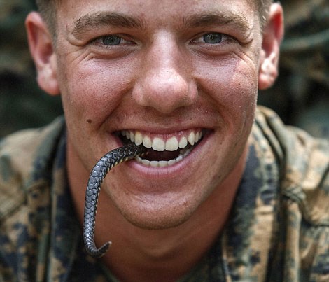 Một binh sĩ thủy quân lục chiến Mỹ đùa nghịch với đuôi rắn.