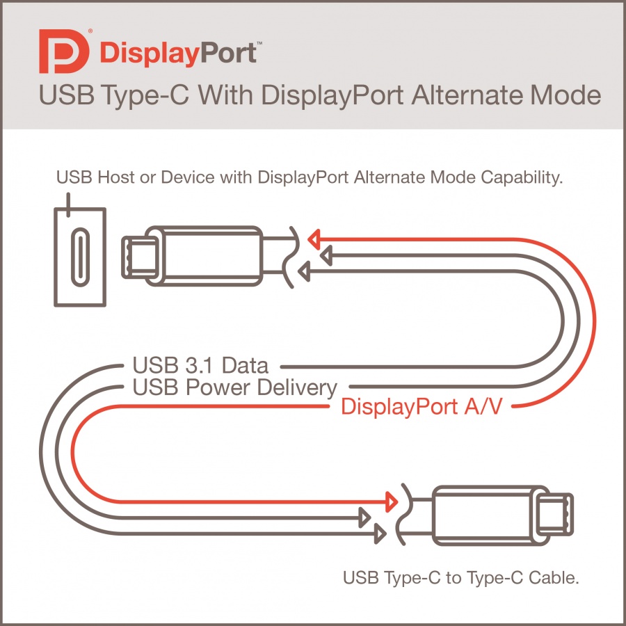 USB Type C Display Port