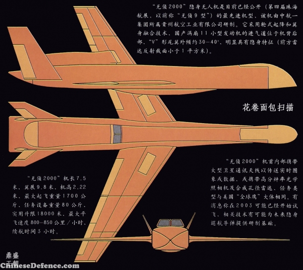 WZ-2000: Máy bay không người lái tiến công UCAV đầu tiên của Trung Quốc