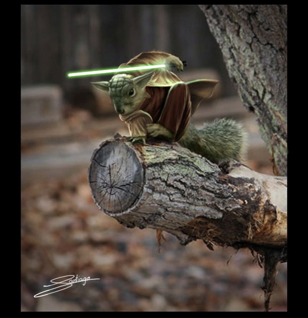 Yoda trong Star Wars.
