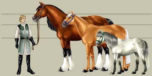 So sánh kích thước tương giữa ngựa châu Âu (trái) và ngựa Mông Cổ (giữa)