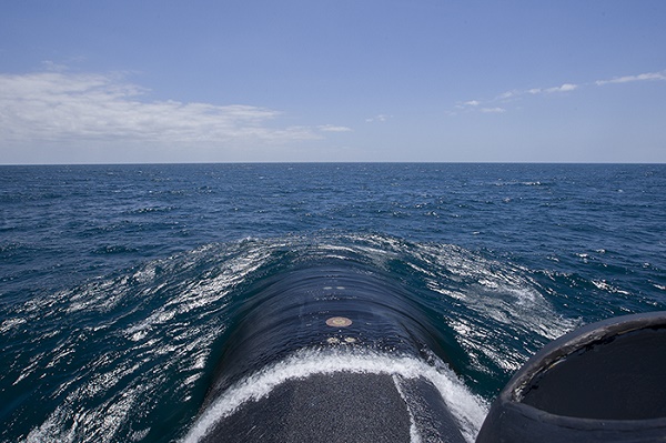 cẩm nang tàu ngầm hải quân mỹ những câu hỏi thường gặp