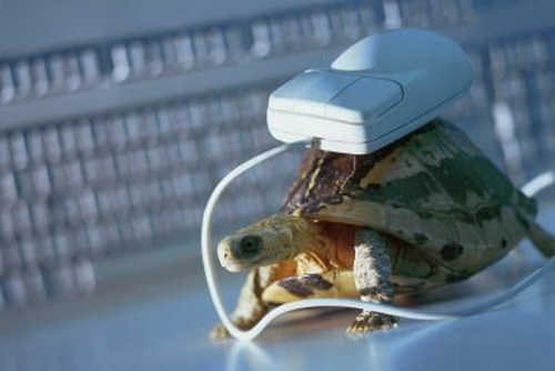 Có tới 2,3 triệu người Mỹ vẫn dùng mạng dial-up tốc độ "rùa bò"