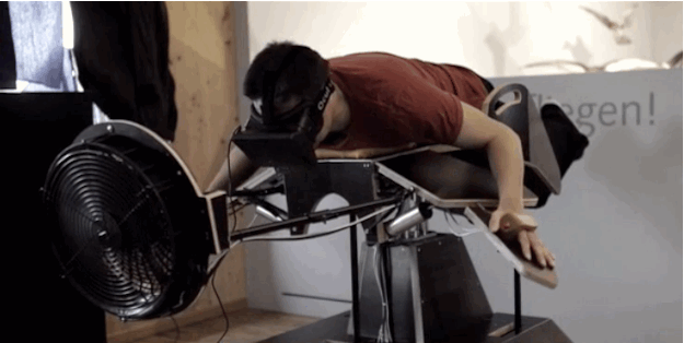Biến thành chim với đôi cánh gỗ và kính thực tế ảo Oculus Rift