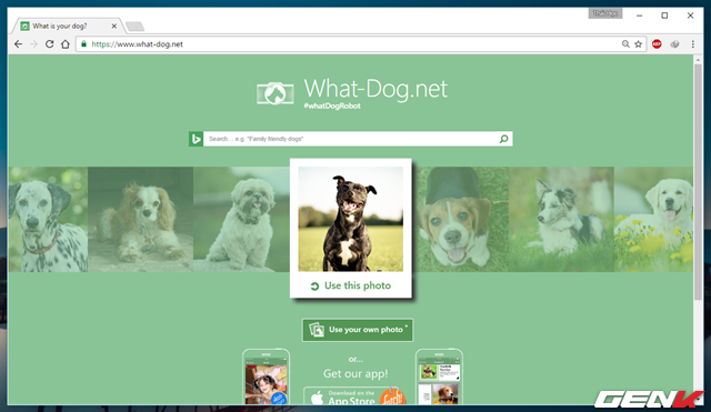  Tương tự như How Old, What Dog cũng là một ứng dụng nền web cung cấp khả năng phân tích và đưa ra nhận xét vui về gương mặt bạn giống với loài chó nào. 