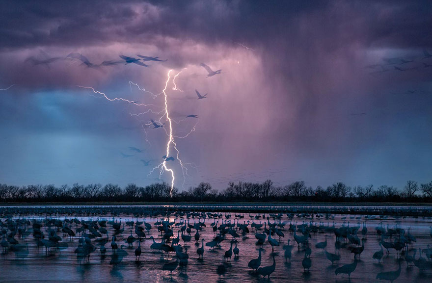 
Một cơn bão thắp sáng bầu trời đêm gần bang Nebraska, Mỹ. Trong ảnh có khoảng 413.000 con sếu đồi cát đã đến sinh sống trong vùng nước nông của sông Platte

