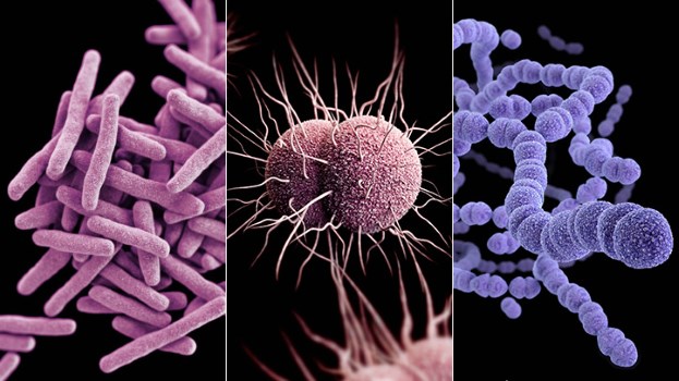  Vi khuẩn kháng kháng sinh xuất hiện trên khắp thể giới 