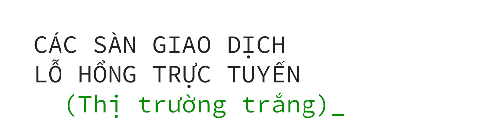 [Magazine] Chợ đen ngầm online - siêu thị trực tuyến giá cao, nơi hàng hóa là lỗ hổng phần mềm - Ảnh 5.