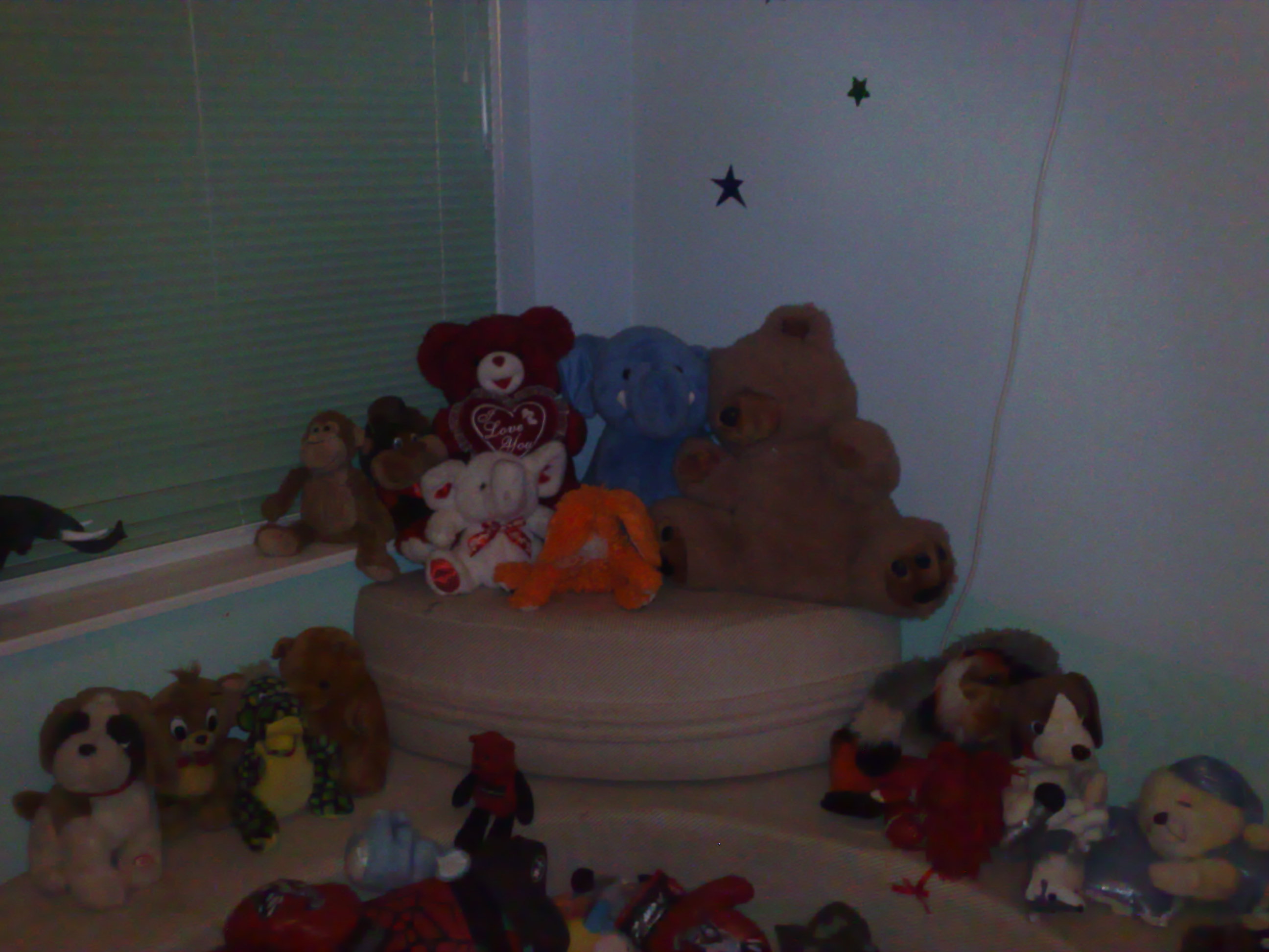 Ảnh chụp trong nh&agrave; - &aacute;nh s&aacute;ng trung b&igrave;nh