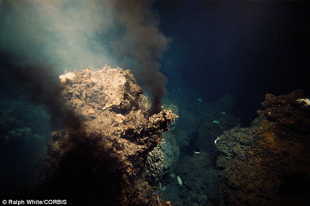  Các mạch thải ra hydrogen sulfide dưới đáy biển. 