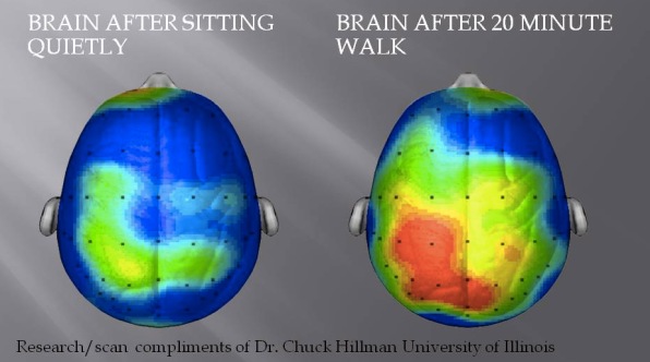  Não bộ trước và sau khi tập luyện thể dục, một bài tập đi bộ 20 phút 