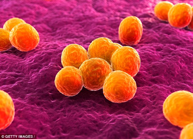  Vi khuẩn kháng kháng sinh sẽ khiến bệnh ung thư càng khó điều trị 