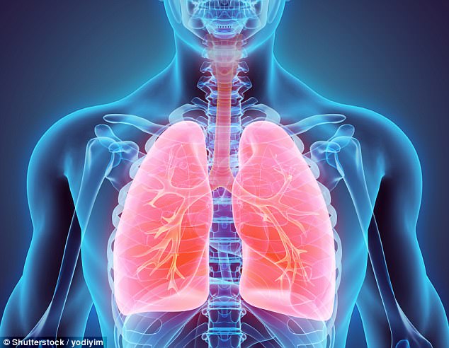  Với kích thước gần bằng 1 phần tỷ mét, hạt nano trong khí thải xe cộ có thể đâm xuyên phổi để vào thẳng máu bạn 