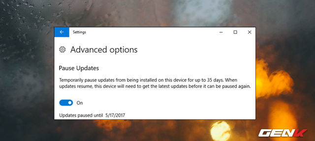  Danh sách các thiết lập của Advanced Options xuất hiện, bạn hãy tìm đến và gạt sang ON ở lựa chọn “Pause Updates”. 
