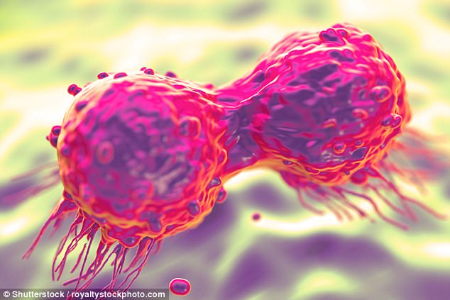  Nếu loại bỏ các tế bào gốc ung thư, chúng ta có thể tấn công vào trái tim của căn bệnh 