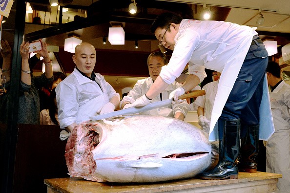  Năm 2016, ông Kiyoshi Kimura, chủ chuỗi nhà hàng Sushi Zanmai cũng đã trả 117.000 USD để mua một con cá ngừ vây xanh nặng 200 kg trong phiên đấu giá tại chợ Tsukiji, Tokyo 