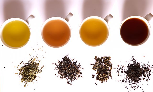  Trà trắng, trà xanh, trà ô long và trà đen 