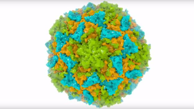 
Các hạt giả virus có bề ngoài giống hệt virus bại liệt nhưng không thể gây bệnh
