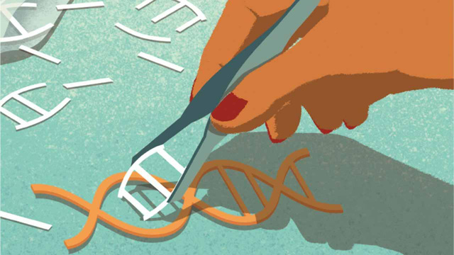  Rõ ràng, một cuộc chạy đua ứng dụng CRISPR để chữa trị ung thư đang được thực hiện 