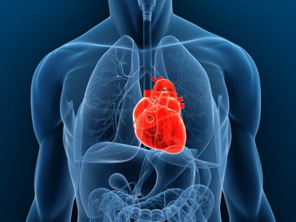Nghiên cứu đã mở ra những cơ hội mới cho người mắc bệnh tim