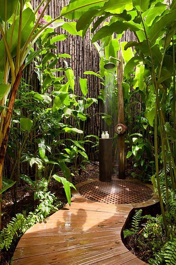 
Nắng, gió , cây xanh và tiếng chim hót. Cả một khu rừng nhiệt đới đã hiện diện trong căn phòng của bạn!

 
