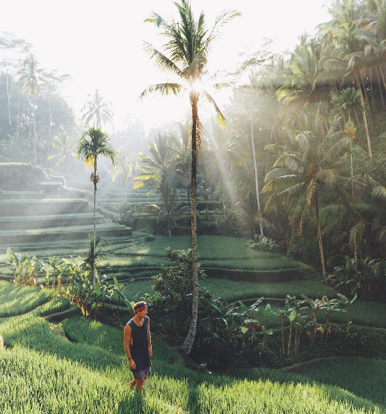  Đi dạo trên những bờ ruộng xanh mướt ở Bali 